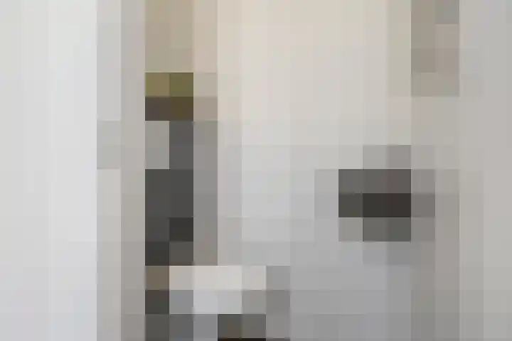 Stuartstraat 71 Alkmaar thumbnail 7