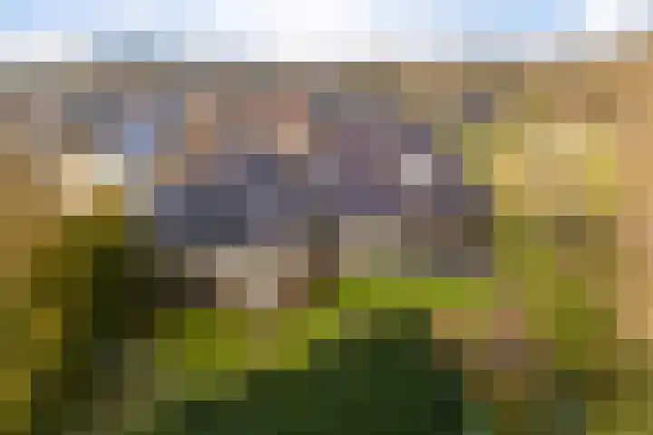 Stuifzandlaan 12 in Zandpol