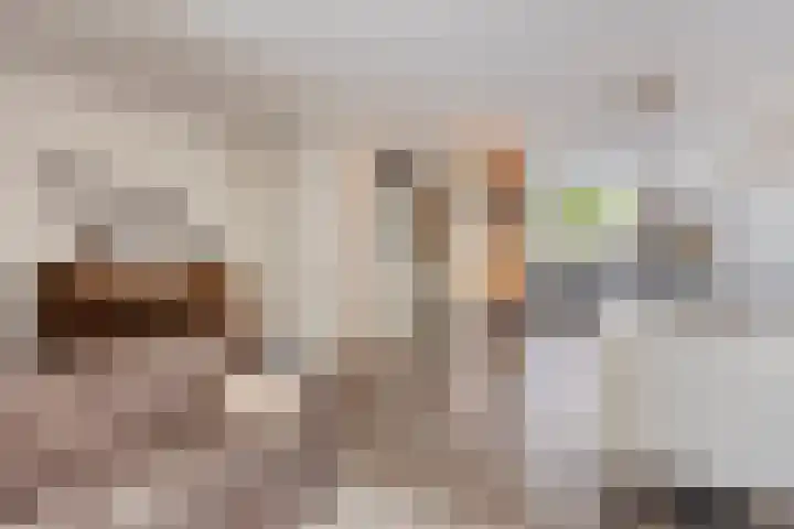 Stuivenes 5 Rhenen thumbnail 10