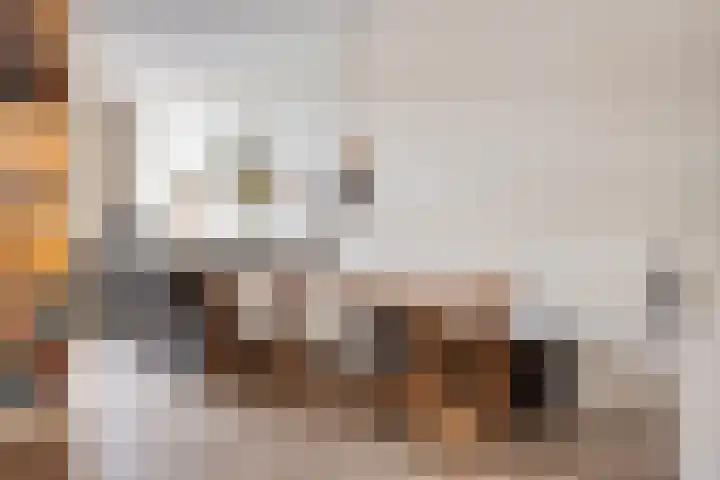 Stuivenes 5 Rhenen thumbnail 11