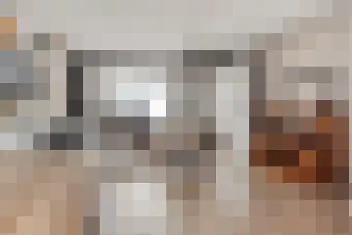 Stuivenes 5 Rhenen thumbnail 13