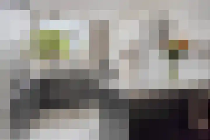 Stuivenes 5 Rhenen thumbnail 14