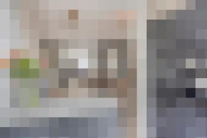 Stuivenes 5 Rhenen thumbnail 15