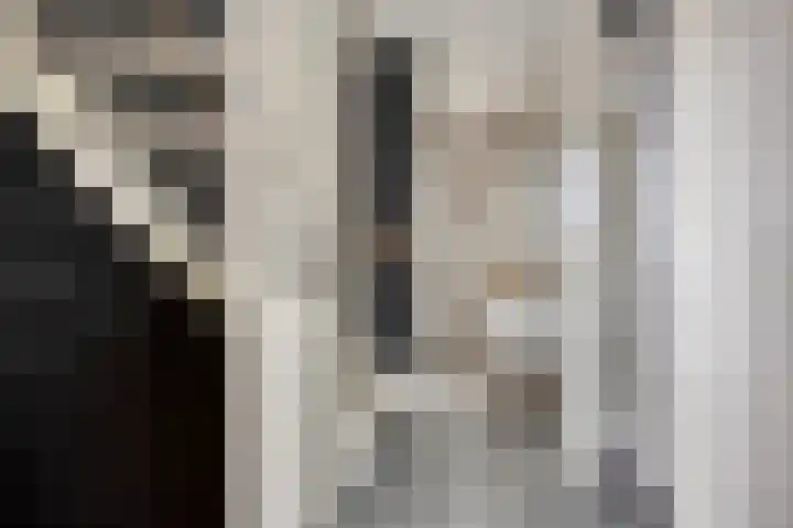 Stuivenes 5 Rhenen thumbnail 19