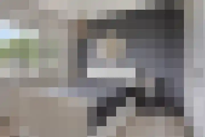 Stuivenes 5 Rhenen thumbnail 20