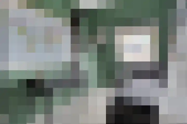 Stuivenes 5 Rhenen thumbnail 23