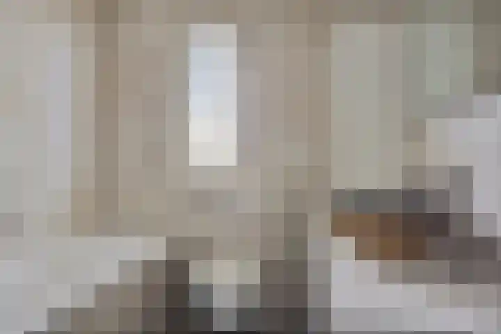 Stuivenes 5 Rhenen thumbnail 26