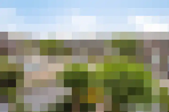 Stuivenes 5 Rhenen thumbnail 33