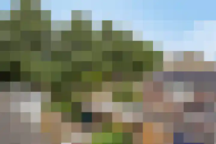 Stuivenes 5 Rhenen thumbnail 38