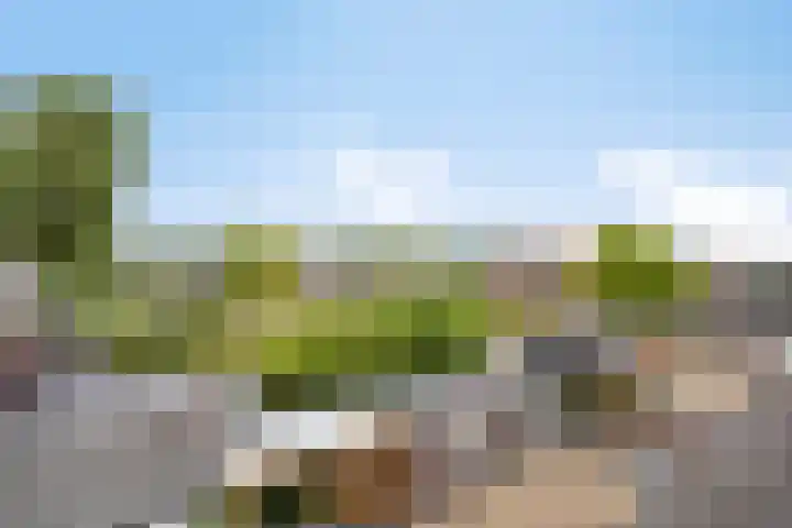 Stuivenes 5 Rhenen thumbnail 39