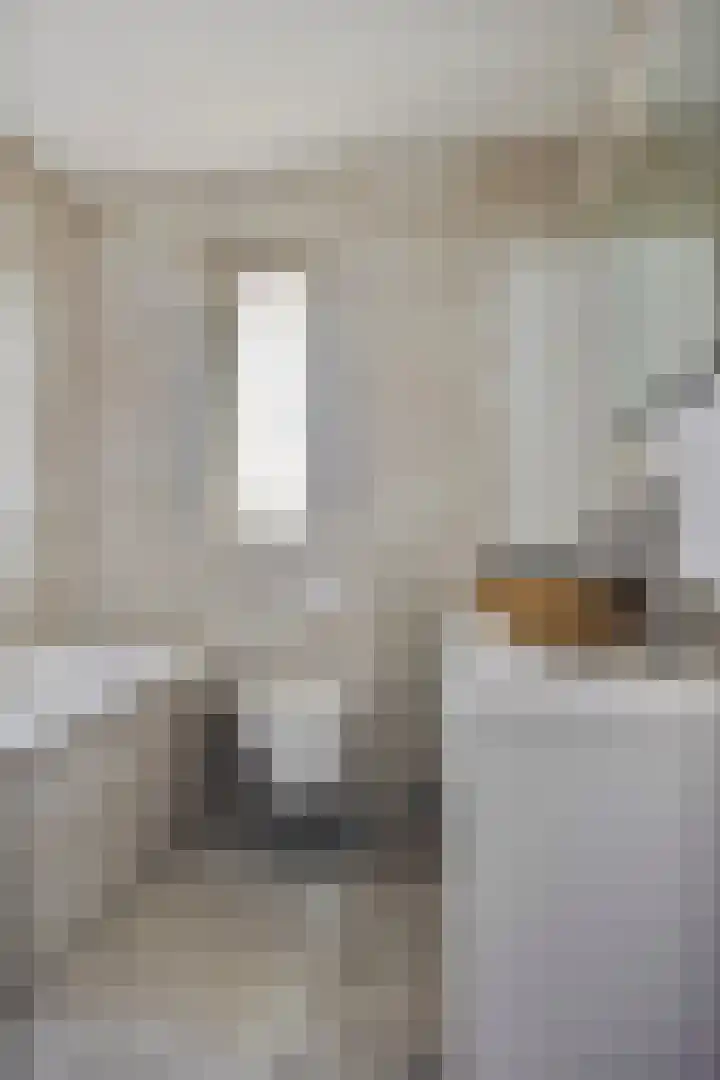 Stuivenes 5 Rhenen thumbnail 4