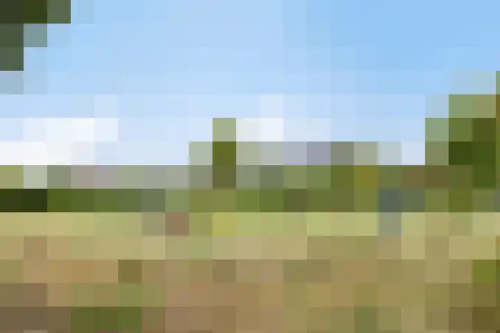 Stuivenes 5 Rhenen thumbnail 43