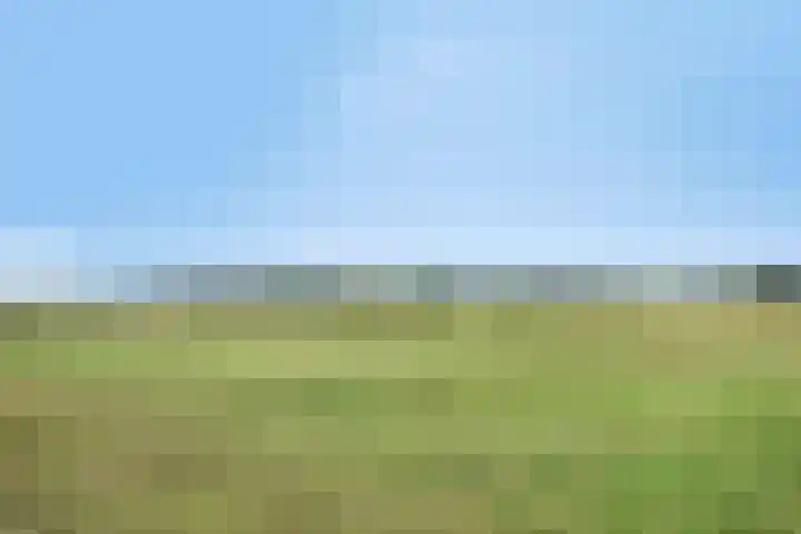 Stuivenes 5 Rhenen thumbnail 44