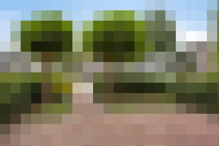 Stuivenes 5 Rhenen thumbnail 45