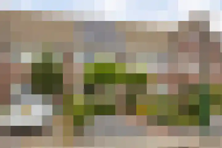 Stuivenes 5 Rhenen thumbnail 46