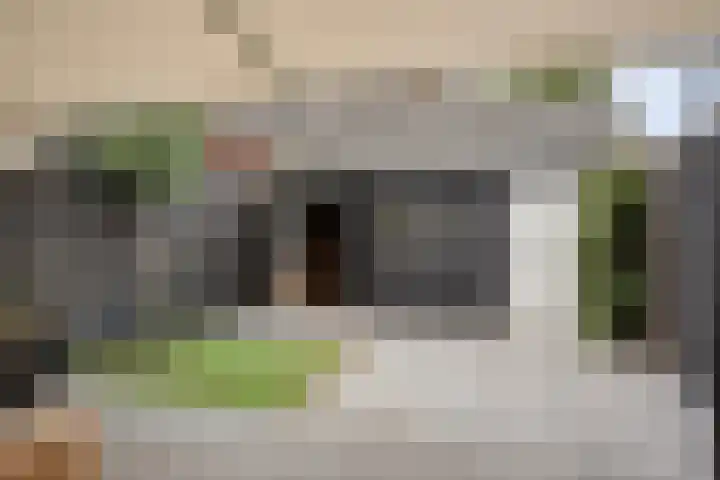 Stuivenes 5 Rhenen thumbnail 5