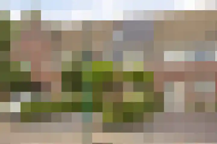 Stuivenes 5 Rhenen thumbnail 6