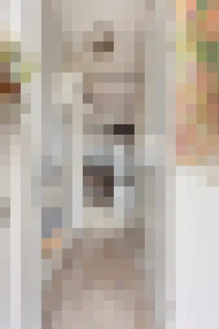 Stuivenes 5 Rhenen thumbnail 8