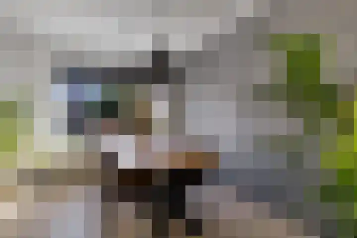Stûken 25 Ureterp thumbnail 6