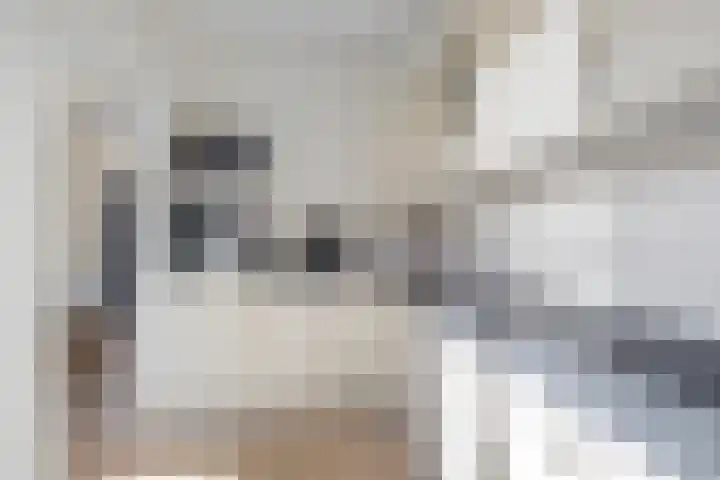 Stûken 25 Ureterp thumbnail 7