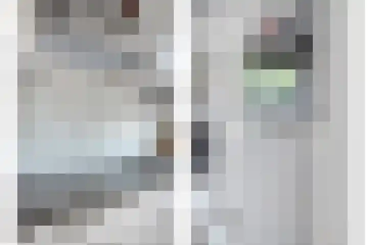 Stuksbeemden 149 Horst thumbnail 11