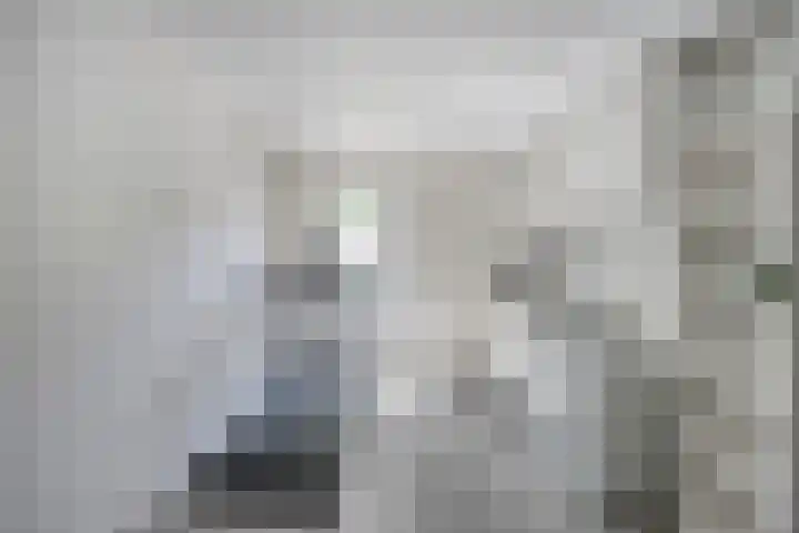 Stuksbeemden 149 Horst thumbnail 13