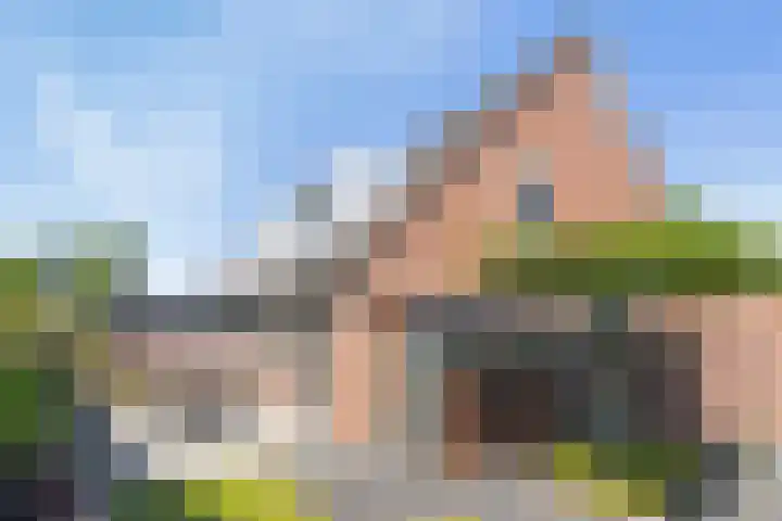 Stuksbeemden 149 Horst thumbnail 23