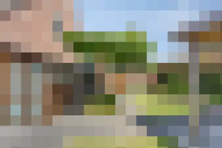 Stuksbeemden 149 Horst thumbnail 24