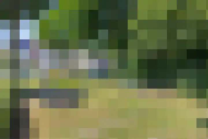 Stuksbeemden 149 Horst thumbnail 26