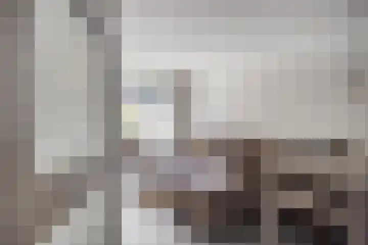 Stuksbeemden 149 Horst thumbnail 5
