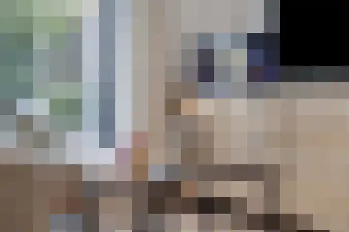 Stuw 12 Borne thumbnail 10