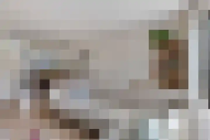 Stuw 12 Borne thumbnail 11