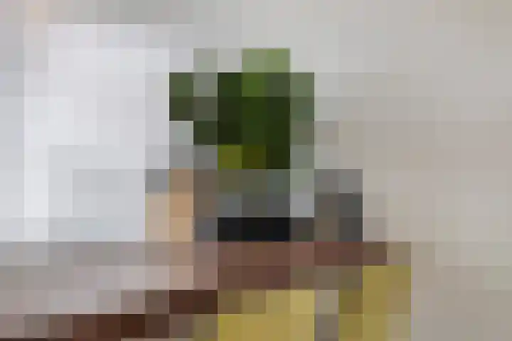 Stuw 12 Borne thumbnail 14