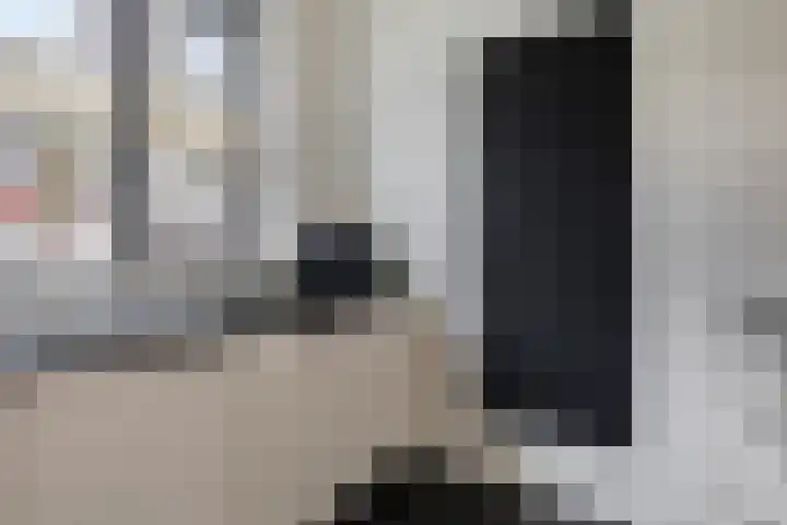 Stuw 12 Borne thumbnail 15
