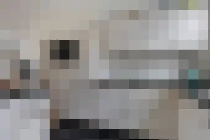 Stuw 12 Borne thumbnail 17