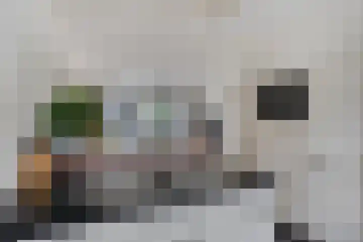 Stuw 12 Borne thumbnail 18