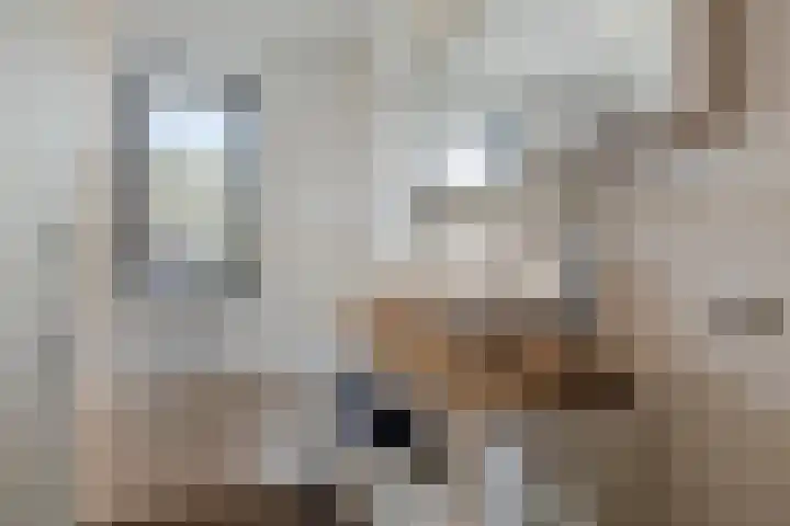 Stuw 12 Borne thumbnail 23