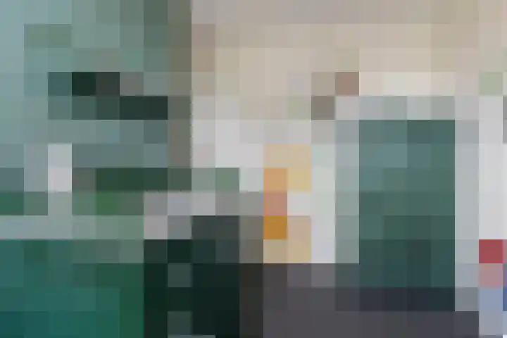 Stuw 12 Borne thumbnail 27