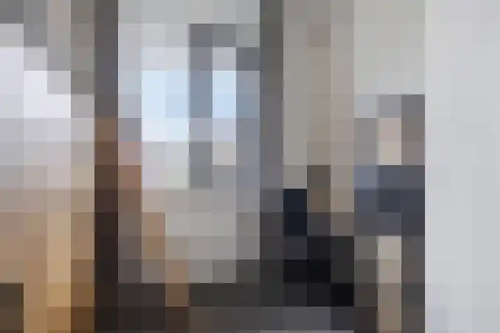 Stuw 12 Borne thumbnail 28