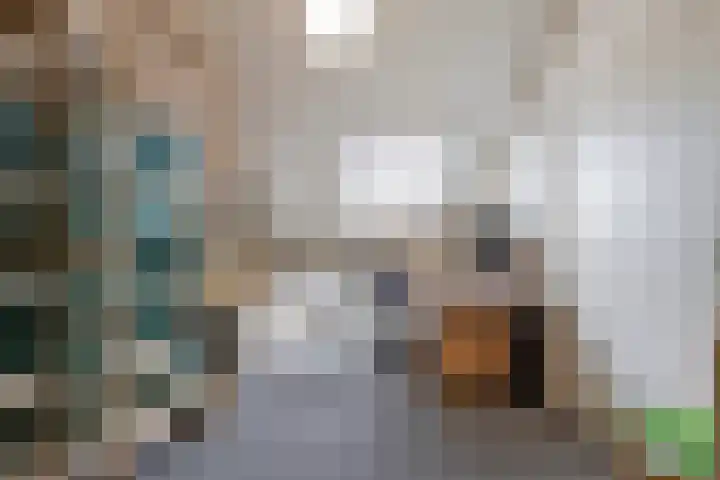 Stuw 12 Borne thumbnail 30