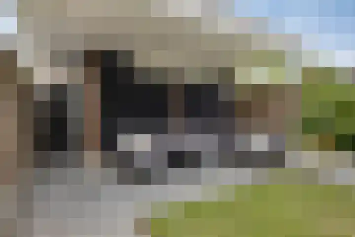 Stuw 12 Borne thumbnail 33