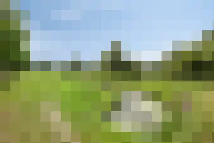 Stuw 12 Borne thumbnail 38