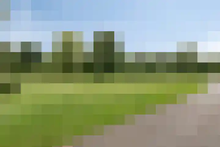 Stuw 12 Borne thumbnail 39