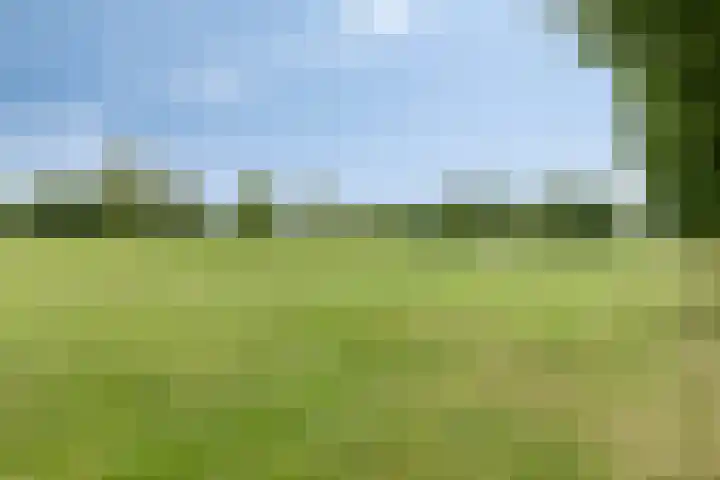 Stuw 12 Borne thumbnail 40