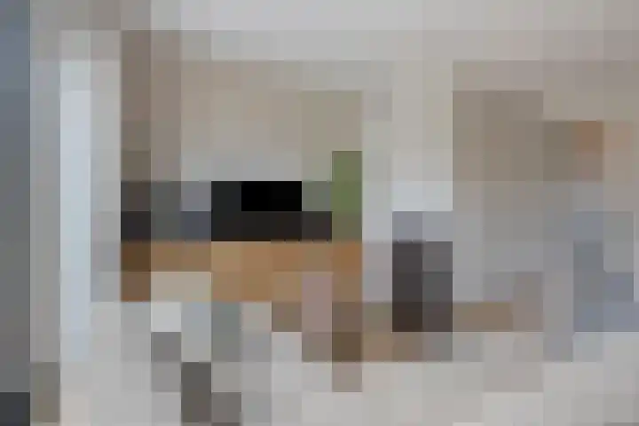 Stuw 12 Borne thumbnail 8