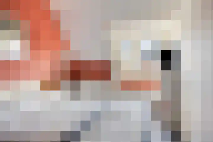 Stuw 4 Borne thumbnail 17
