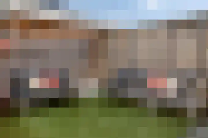 Stuw 4 Borne thumbnail 29