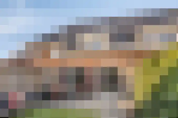 Stuw 4 Borne thumbnail 30