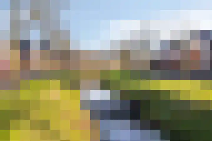 Stuw 4 Borne thumbnail 35