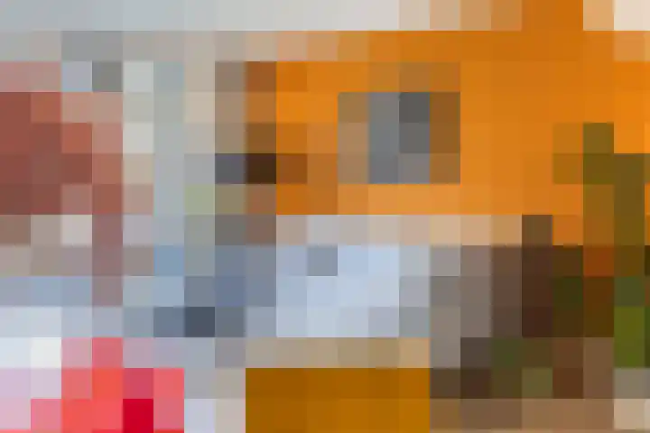 Stuw 4 Doesburg thumbnail 20